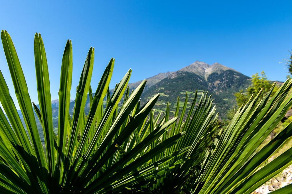 Biohof Niedereben Vila Rablà Exterior foto